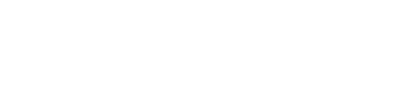 Aravali Consulting LLC